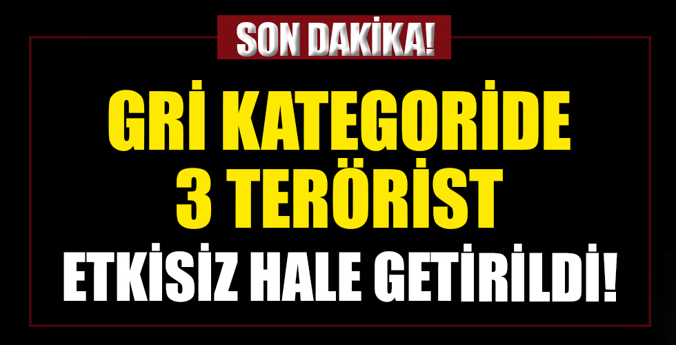 Gri kategoride 3 terörist etkisiz hale getirildi