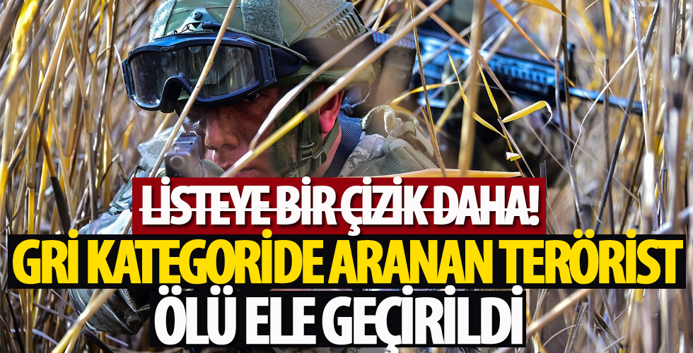 Gri kategoride aranan Halis Erdoğan ölü ele geçirildi