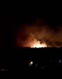 İzmir'de Otluk Alanda Korkutan Yangın, Çok Sayıda Ekip Müdahale Ediyor Haberi