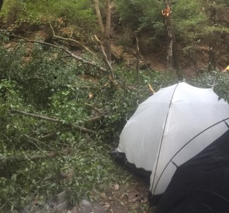 Kampçıların Üzerine Ağaç Devrildi Açıklaması 1'İ Ağır 4 Yaralı