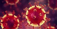 DÜNYA SAĞLıK ÖRGÜTÜ - Koronavirüs yiyeceklerde tespit edildi