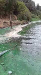 (ÖZEL)Sultangazi'de Baraj Suyu Yeşile Döndü