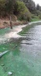 (ÖZEL)Sultangazi'de Baraj Suyu Yeşile Döndü Haberi