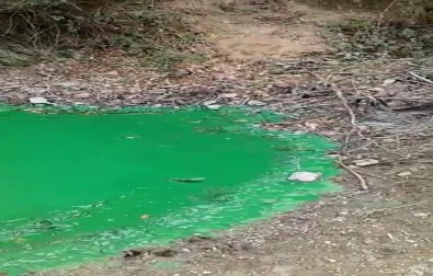 Sultangazi'de Baraj Suyu Yeşile Döndü