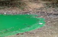 Sultangazi'de Baraj Suyu Yeşile Döndü Haberi