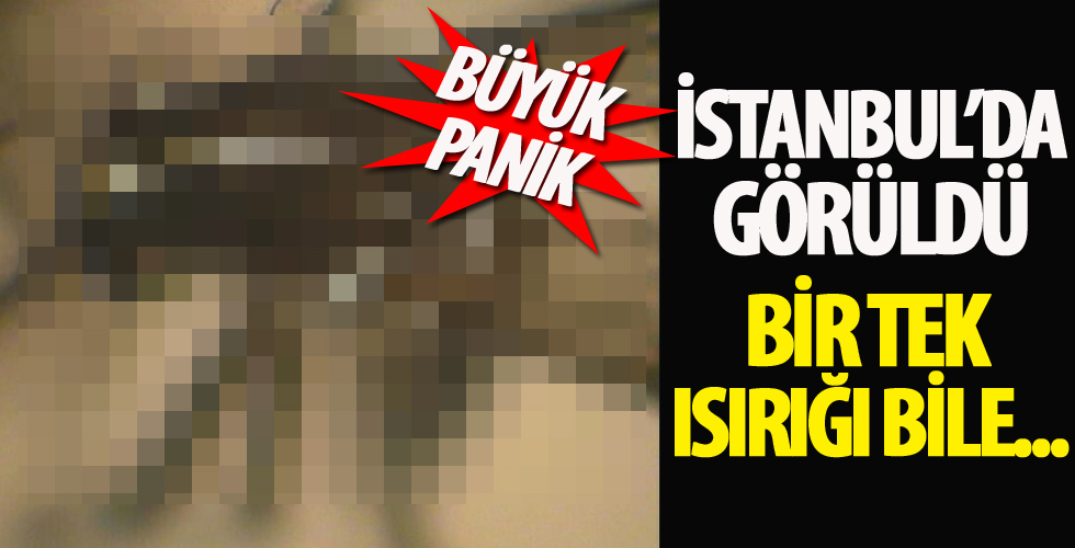 İstanbul’da büyük panik!