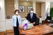 Başkan Köse Vali Gürel'i Festivale Davet Etti