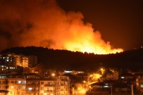 İzmir'deki Otluk Yangını İle İlgili Bir Gözaltı Haberi