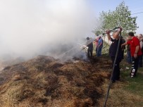 Yaz Boyunca Verdiği Emek Kül Oldu
