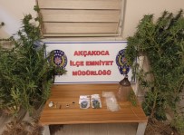 Akçakoca'da Uyuşturucu Operasyonu