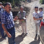 Beç Tavukları Kenelere Geçit Vermeyecek