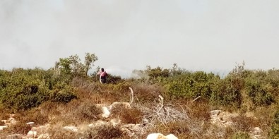 Didim'de Makilik Alanda Yangın Çıktı