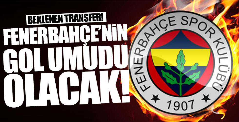 Fenerbahçe'nin yeni golcüsü belli oldu!