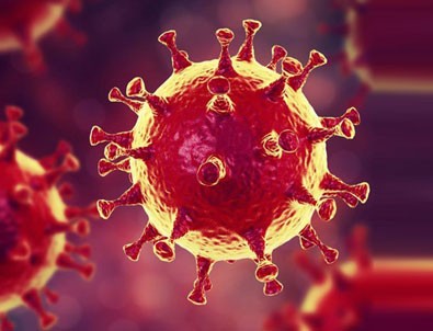 Koronavirüs dünyada 30 milyonu aştı!