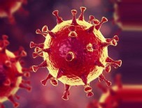 ARJANTIN - Koronavirüs dünyada 30 milyonu aştı!