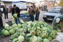 Pancar Üretimi Yüz Güldürecek Haberi