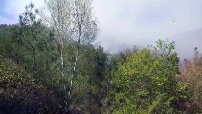 Eskişehir'de Otomobilde Çıkan Yangın Ormanlık Alana Sıçradı