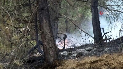 Eskişehir'in Mihalgazi İlçesinde Orman Yangını Başladı