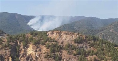 Mihalgazi'deki Orman Yangını İçin Ankara'dan Helikopter Geliyor