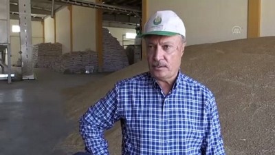 Devletin 1 Milyon Liralık Desteğiyle Memleketinde Sertifikalı Tohum Üretiyor