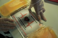 Doktor Covid-19 Geçirenlere Seslendi Açıklaması 'Yalvarıyorum Bağışçı Olun'