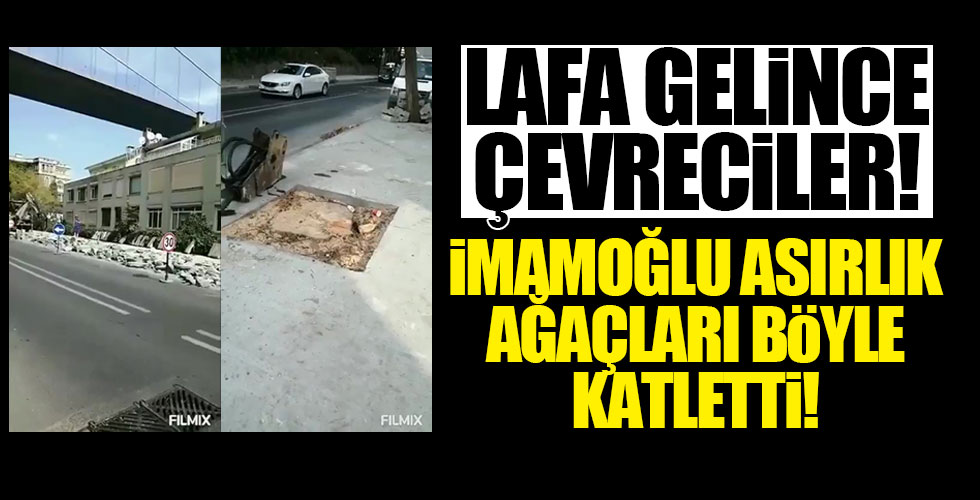 İmamoğlu yine ağaç katletti!