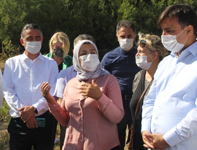 Kadın istihdamına büyük destek: Bin kovan hibe edilecek!