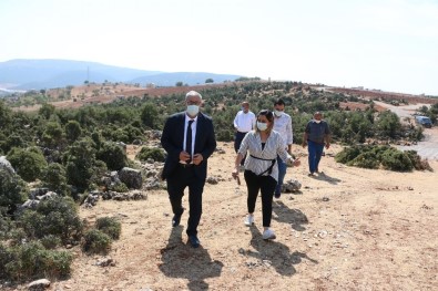 Pazarcık'ta 40 Kaya Mezar Gün Yüzüne Çıkarılacak