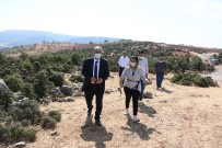 Pazarcık'ta 40 Kaya Mezar Gün Yüzüne Çıkarılacak Haberi