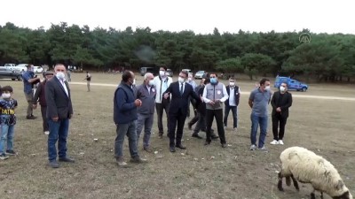 Tokat Küçükbaş Hayvancılık Projesiyle Diğer İllere Örnek Olmayı Hedefliyor