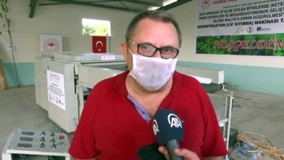 Türk Mühendisleri Kenevir Lif Sıyırma Makinesi Geliştirdi
