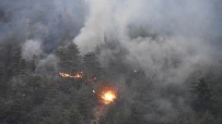 Yangının Ardından Eskişehir Orman Bölge Müdürü Temel'den Açıklama