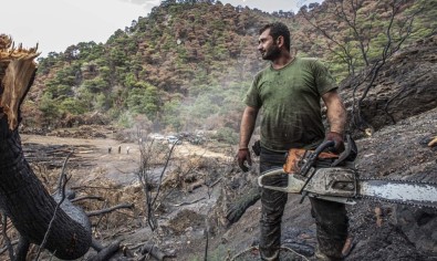Ahmetli'deki Orman Yangının İzleri Siliniyor