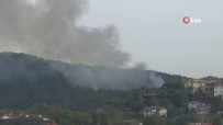 Anadolu Hisarı'ndaki Orman Yangınına Müdahale Sürüyor
