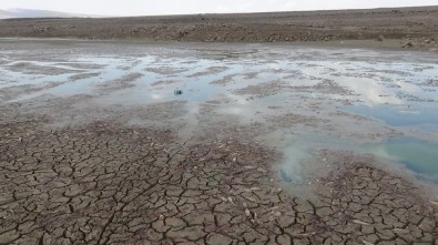 Çınar'da Yürek Sızlatan Görüntü