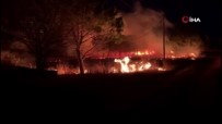 Gelibolu'daki Orman Yangını Söndürüldü Haberi