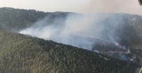 İzmir'de Ormanlık Alanda Yangın Paniği Haberi