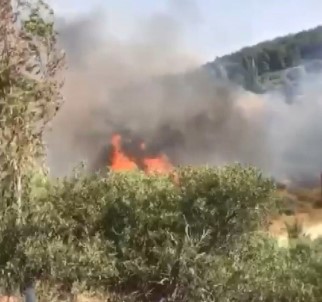 İzmir'de Ormanlık Alanda Yangın