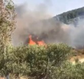 İzmir'de Ormanlık Alanda Yangın Haberi