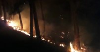 İzmir'deki Orman Yangını Sürüyor
