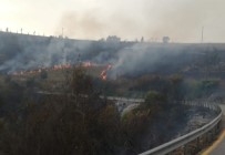 Kocaeli'nin 11 Bölgesinde Orman Yangınları Çıktı Haberi