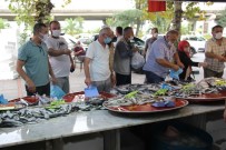 Rize'de Balık Tezgahlarında Palamut İzdihamı