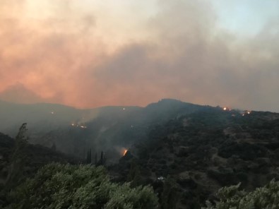 Söke'deki Yangında 50 Ev Tahliye Edildi
