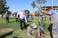 Başkan Dr. Mustafa Palancıoğlu'Fidan Değil, Ağaç Dikiyoruz'