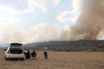 Bolu'da Orman Yangınına Müdahale Sürüyor Haberi