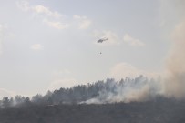 Bolu'da Yangın 40 Hektarlık Alanda Etkili Oluyor