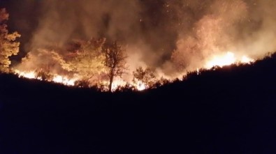 Düzce'de Orman Yangınına Müdahale Sürüyor