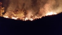 Düzce'de Orman Yangınına Müdahale Sürüyor Haberi