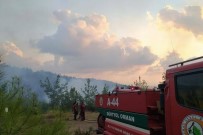 Hatay'da Çıkan Orman Yangınları Söndürüldü Haberi