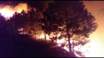 İzmir'deki Orman Yangını Sonrası Ağır Bilanço Açıklaması Onlarca Hektar Ormanlık Alan Küle Döndü Haberi